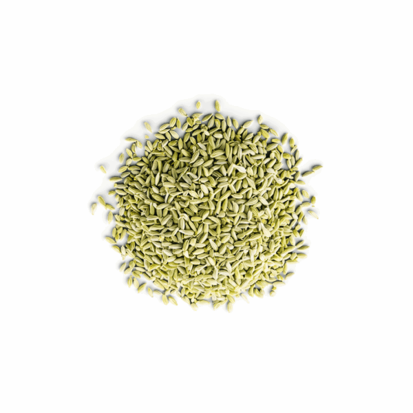 Fennel Seeds