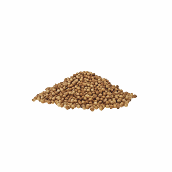 Coriander