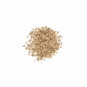 Dill Seeds